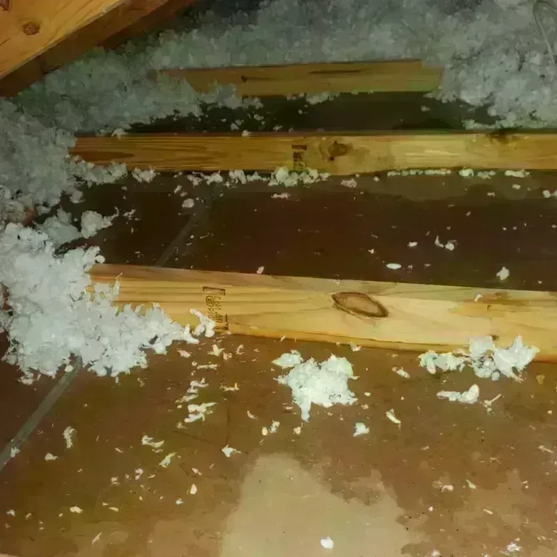 Attic Water Damage in Lake Village, AR